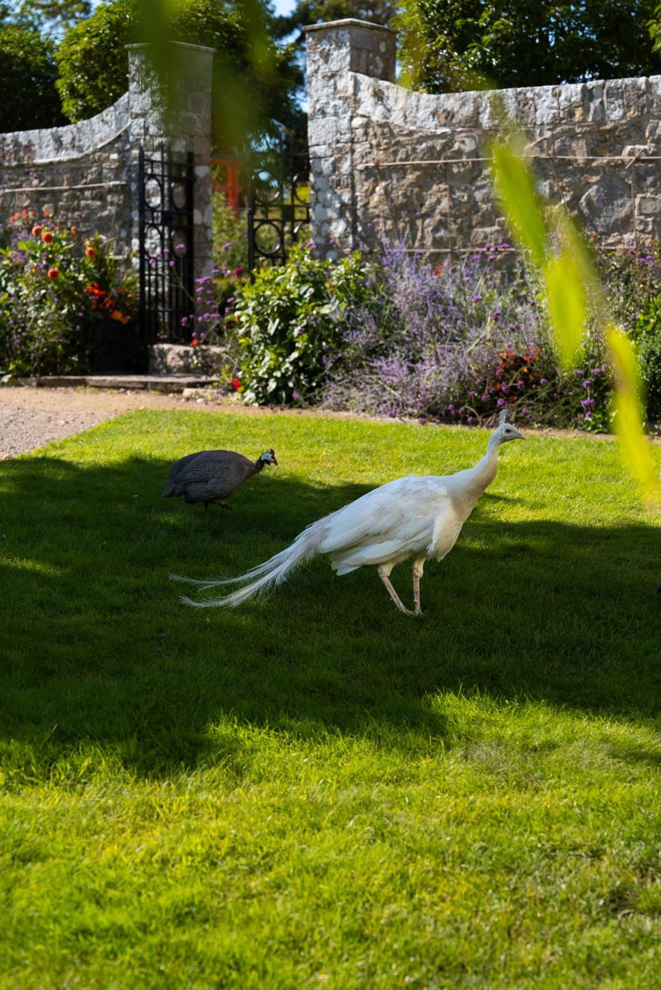 Gileston Manor Luxury B&B Barry Exteriör bild